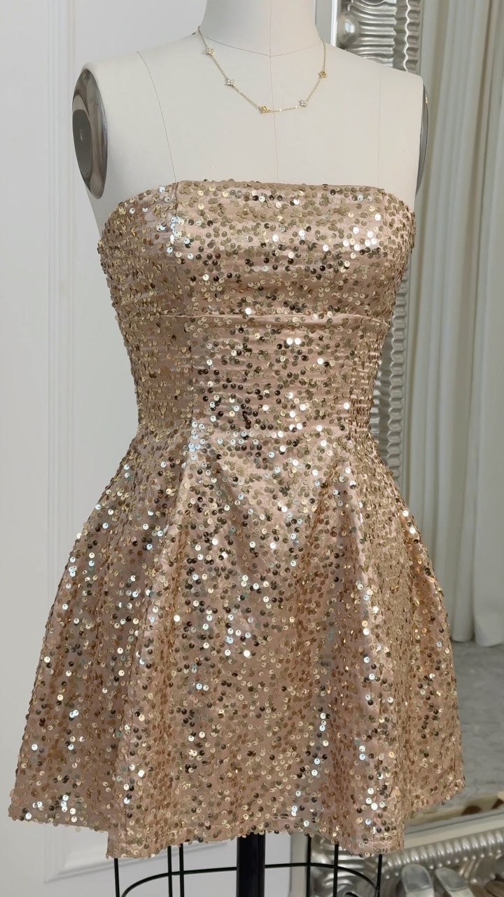 Sequin Lace-Up Back Tulle Mini Dress