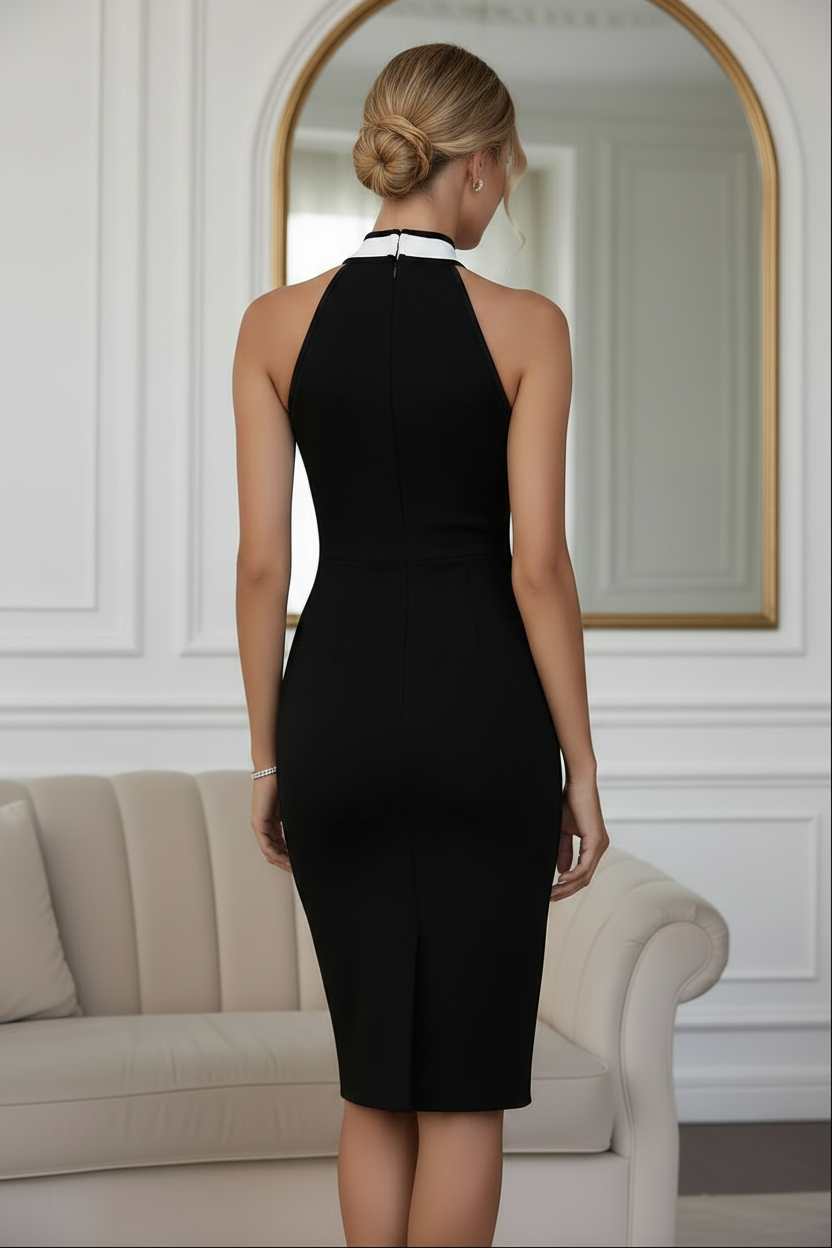 High Neck Colorblock Midi Bodycon Dress