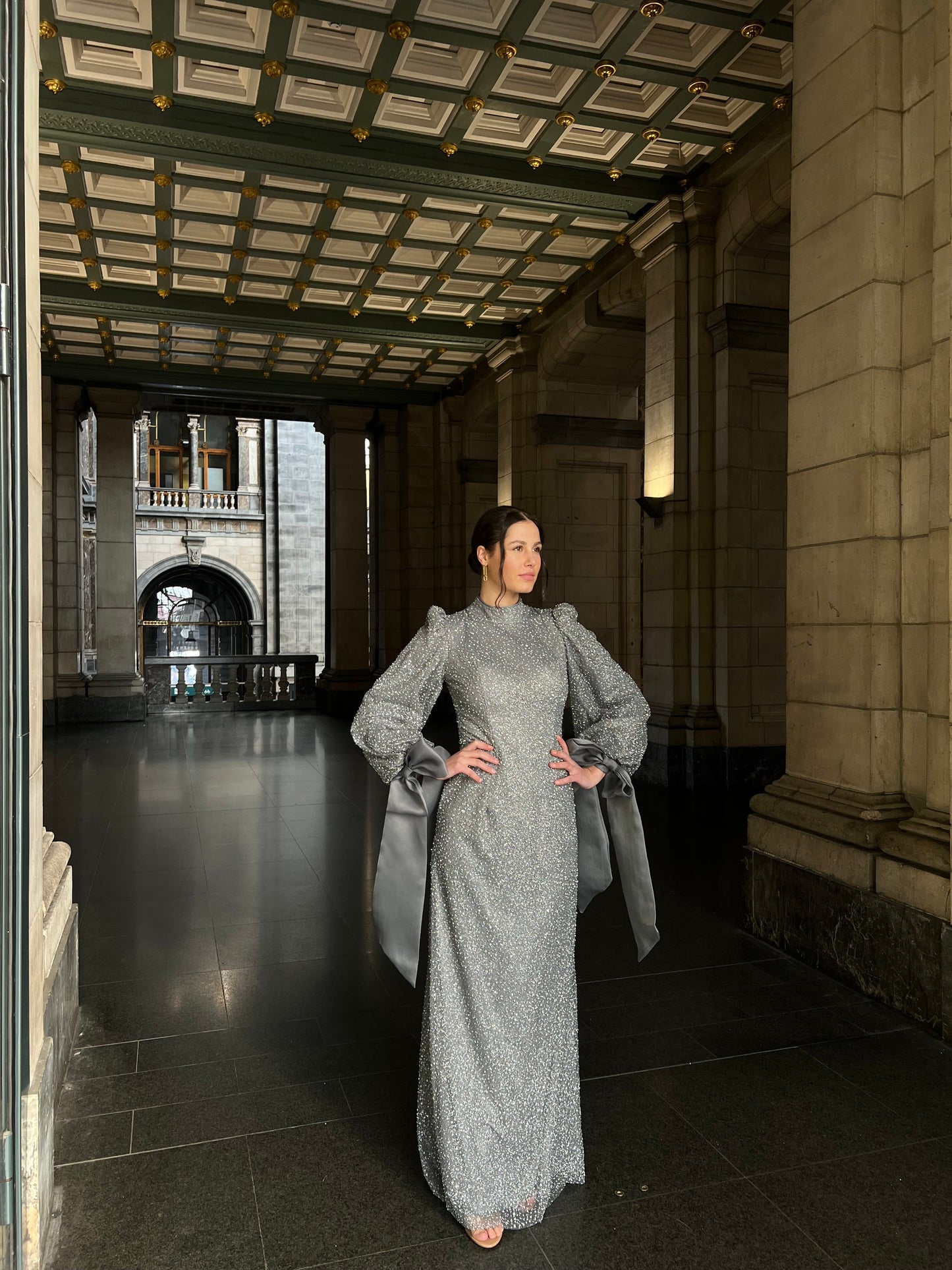 Grey Column Long Sleeves High Neck Bowknot Stunning Evening Gown