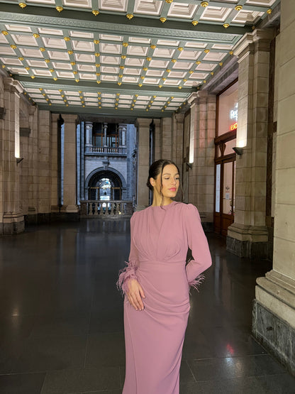 Dusty Rose Sheath Ruched Long Sleeves Back Zipper Formal Dress