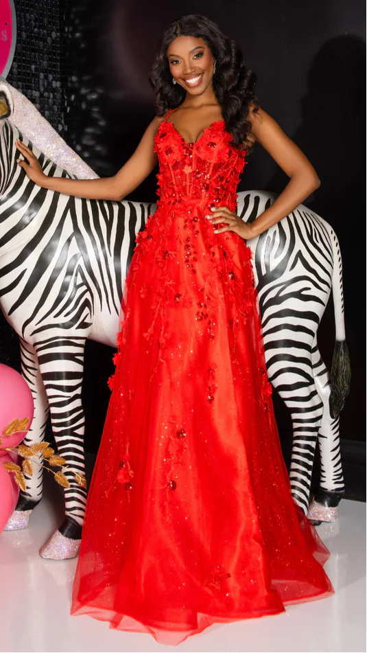 Charming Spaghetti Straps V-Neck Appliques Prom Dress