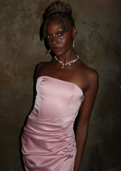 Pink Elegant Mermaid Evening Dress Strapless Pleated Prom Dress