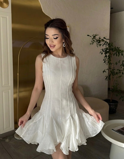 Sleeveless Ruffled Fit and Flare Mini Dress