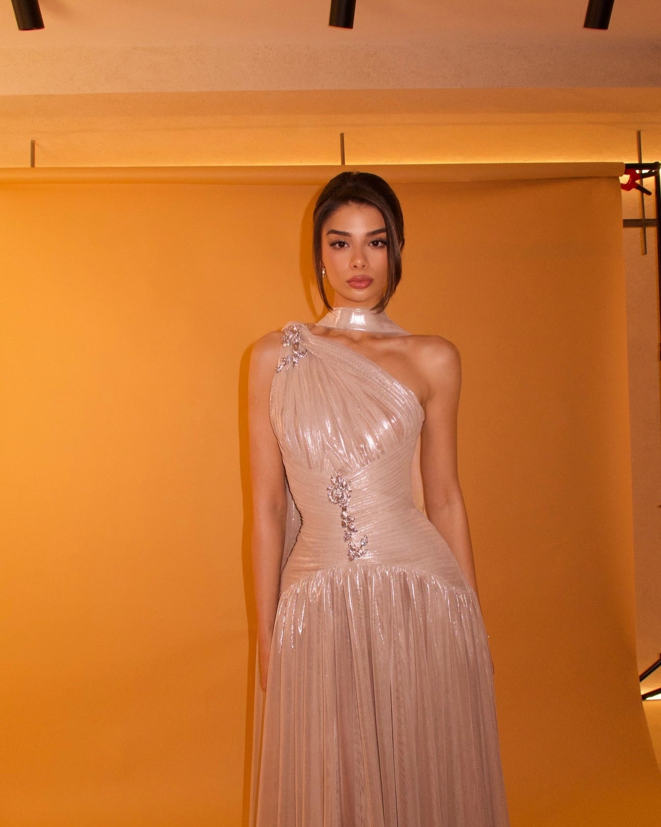 One-Shoulder Pleated Metallic Evening Gown