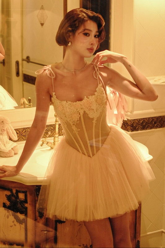 Lace Applique Corset Tulle Mini Dress
