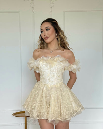 Off-the-Shoulder Corset Lace Mini Princess Dress
