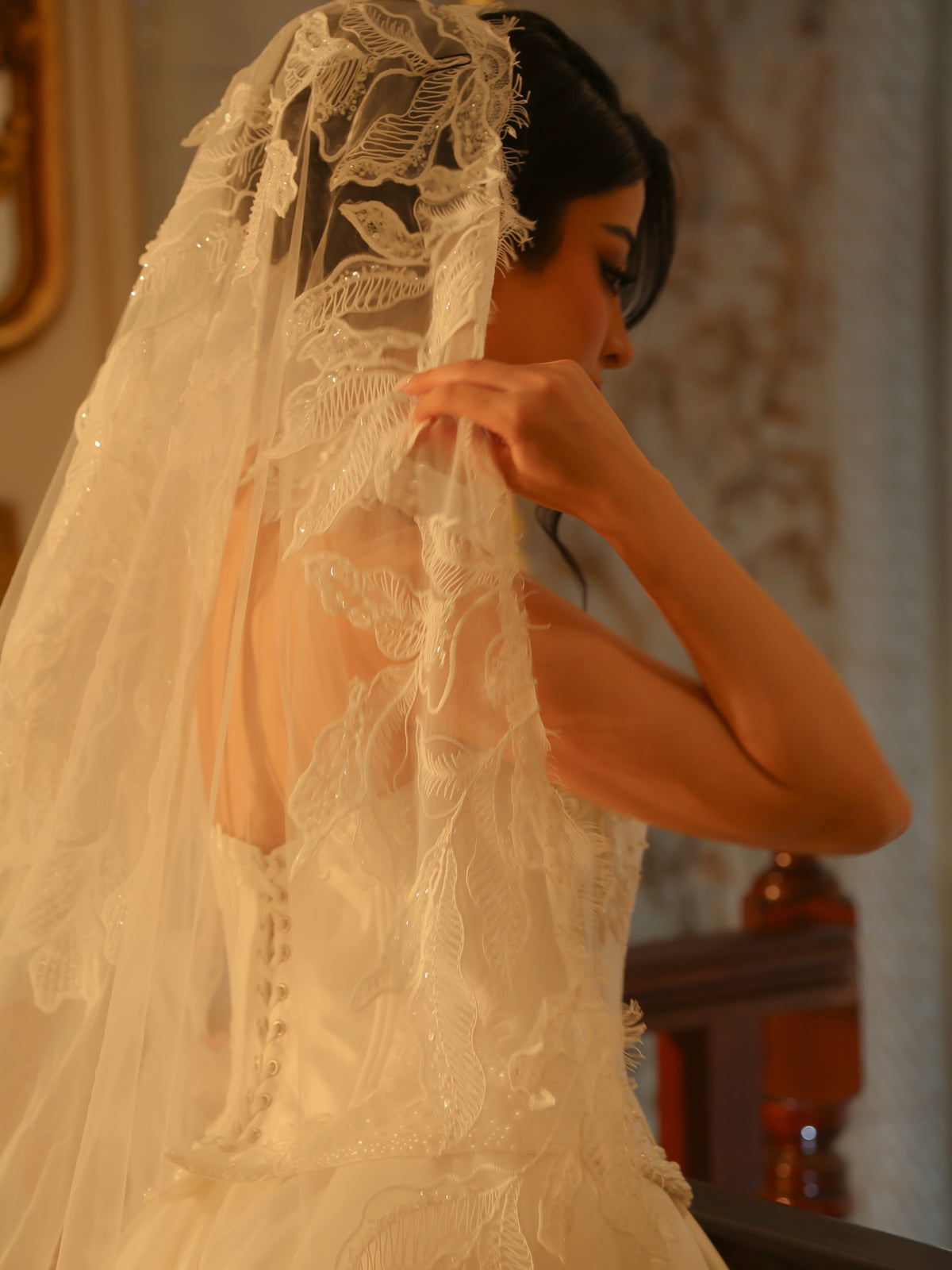Corset Ball Gown Wedding Dress with Lace Veil