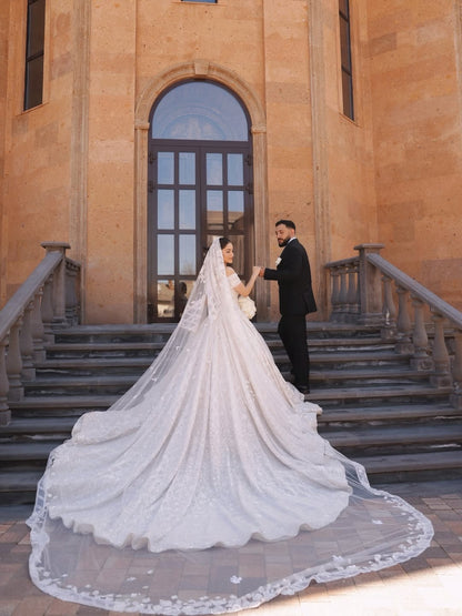 Off-the-Shoulder Sparkly Ball Gown Wedding Dress