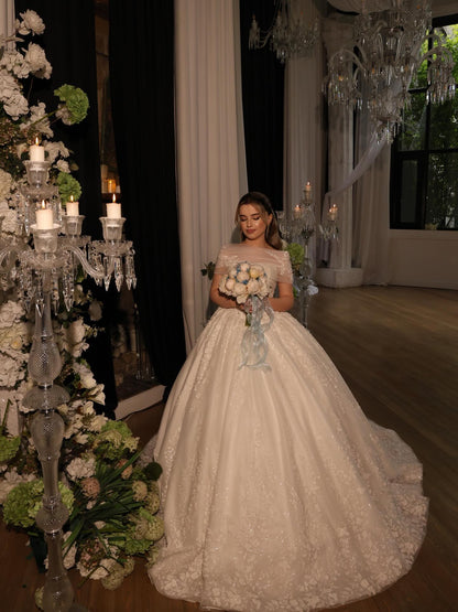 Off-the-Shoulder Illusion Lace Ball Gown Wedding Dress