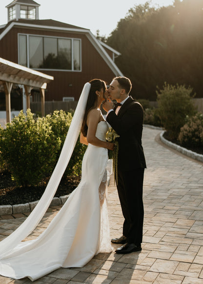 Strapless Mermaid Wedding Gown with Cathedral Veil