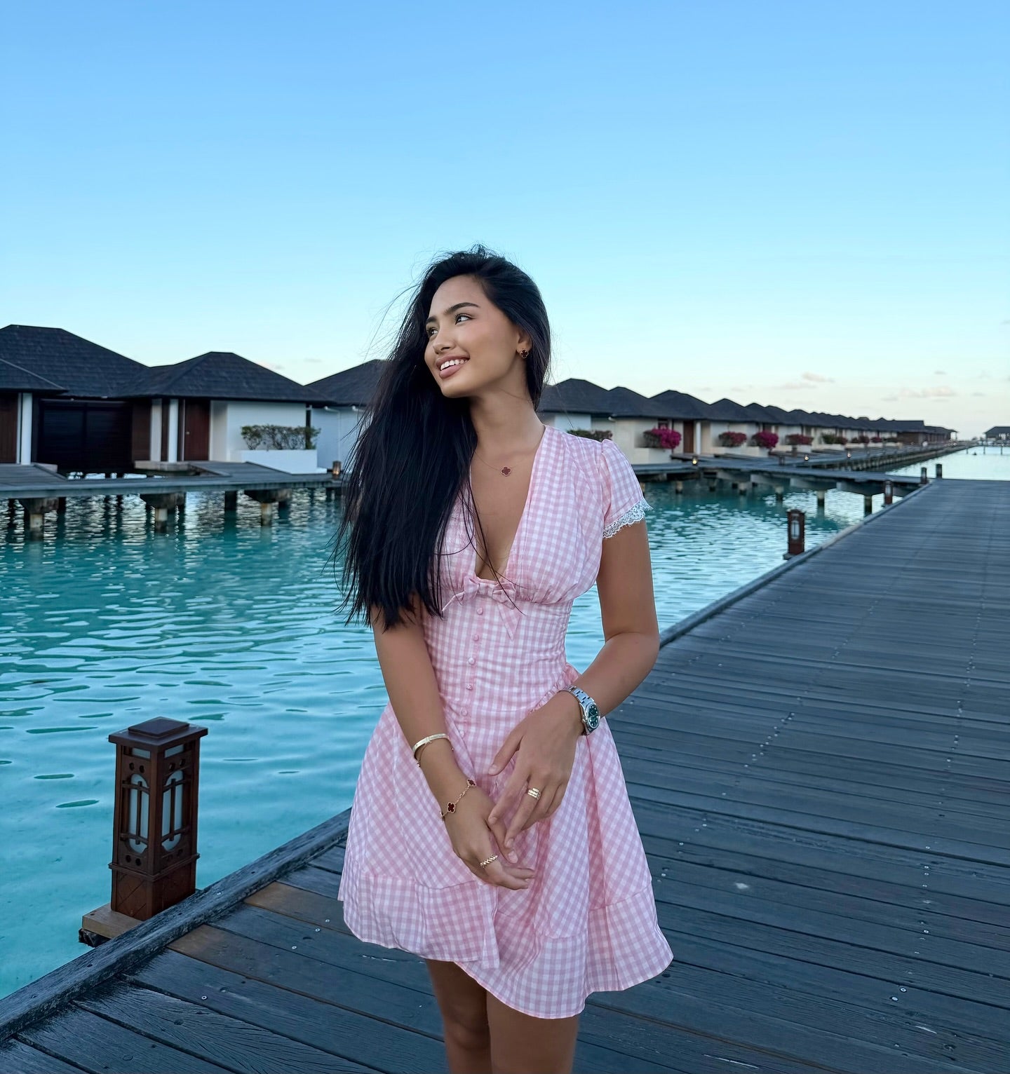 Gingham Plunge Neck Cap Sleeve Mini Dress