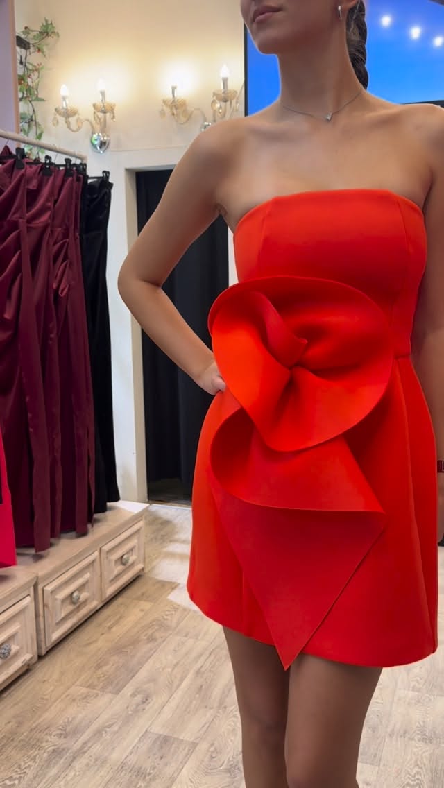Strapless Mini Dress with 3D Rose Applique
