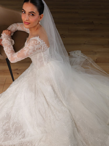 Lace Corset Ball Gown Wedding Dress with Sleeves