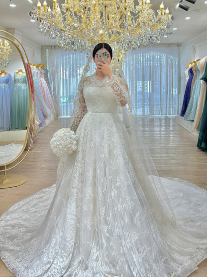 Long Sleeve Lace Illusion Ball Gown Wedding Dress