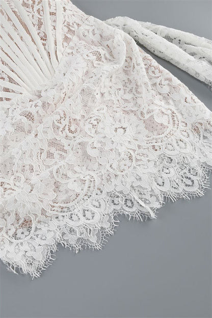 Strapless Lace Corset Mini Dress with Side Drape