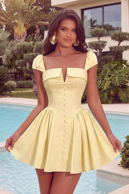 Cap Sleeve Pleated Fit and Flare Mini Dress