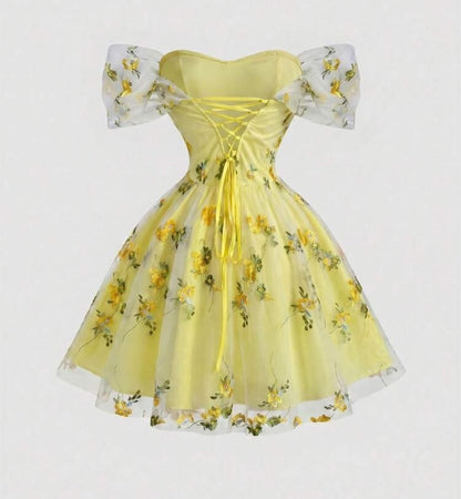 Floral Embroidered Corset A-Line Mini Dress
