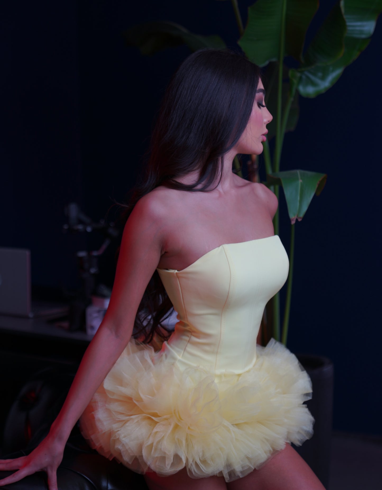 Strapless Corset Tulle Tutu Mini Party Dress