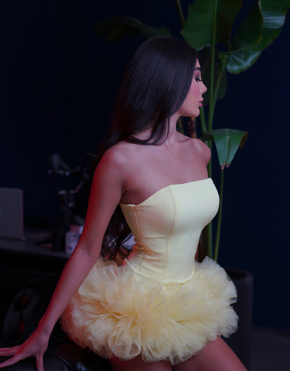 Strapless Corset Tulle Tutu Mini Party Dress