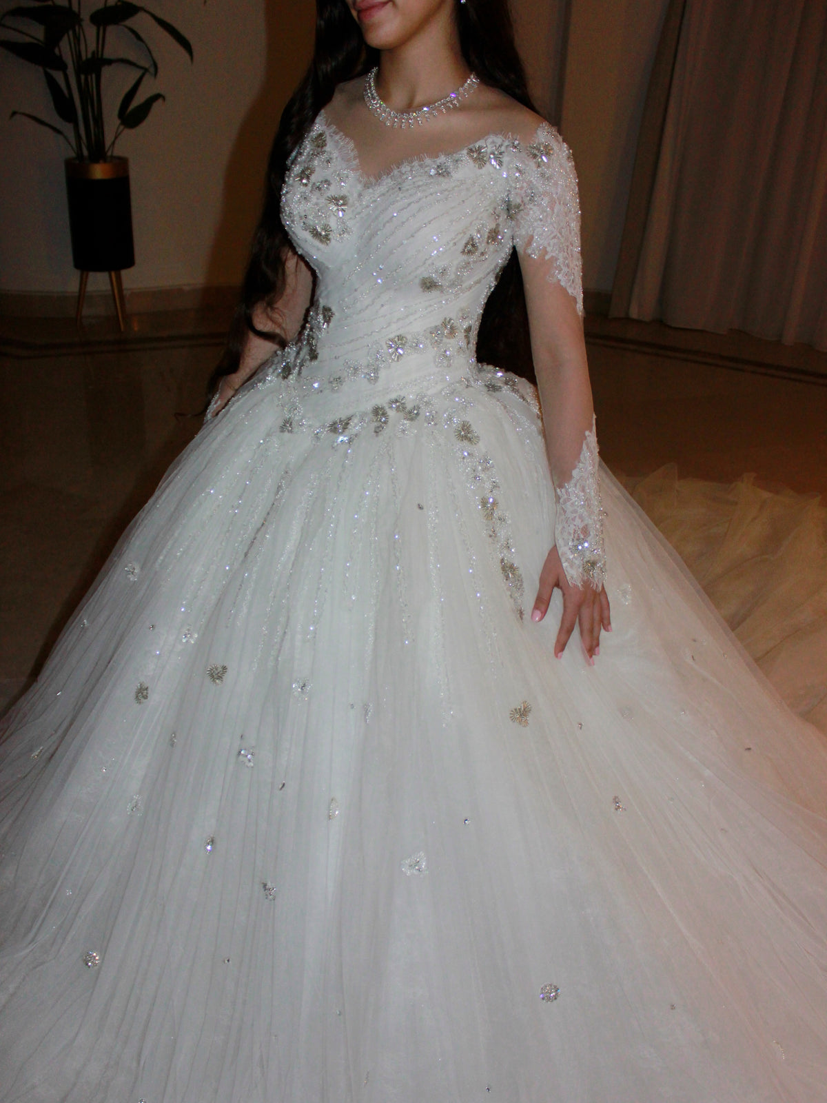 Beaded Long Sleeve Tulle Ball Gown Wedding Dress
