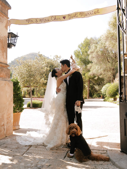 Illusion High Neck Lace Wedding Gown with Train