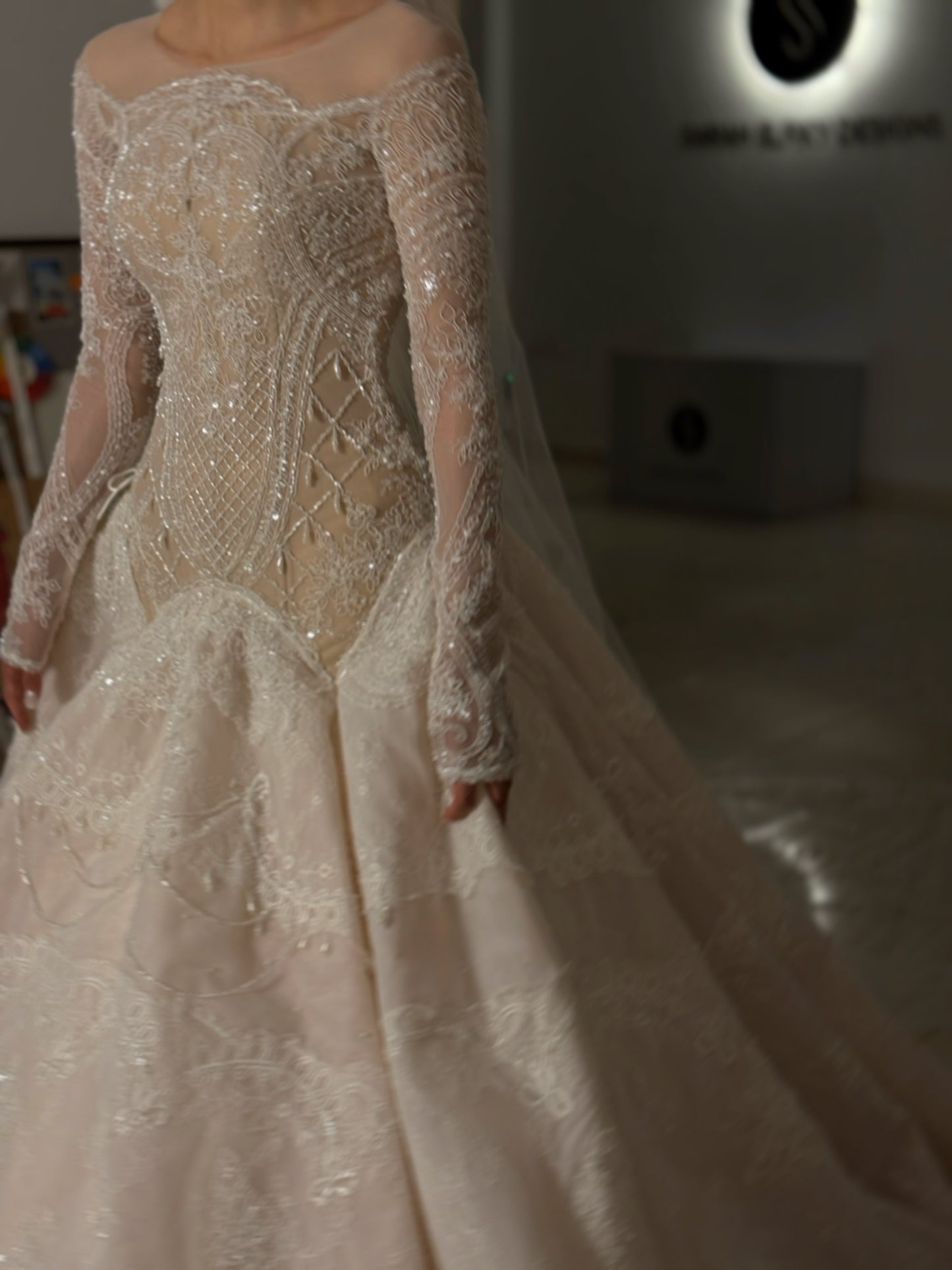 Lace & Beaded Ball Gown Wedding Dress with Sleeves