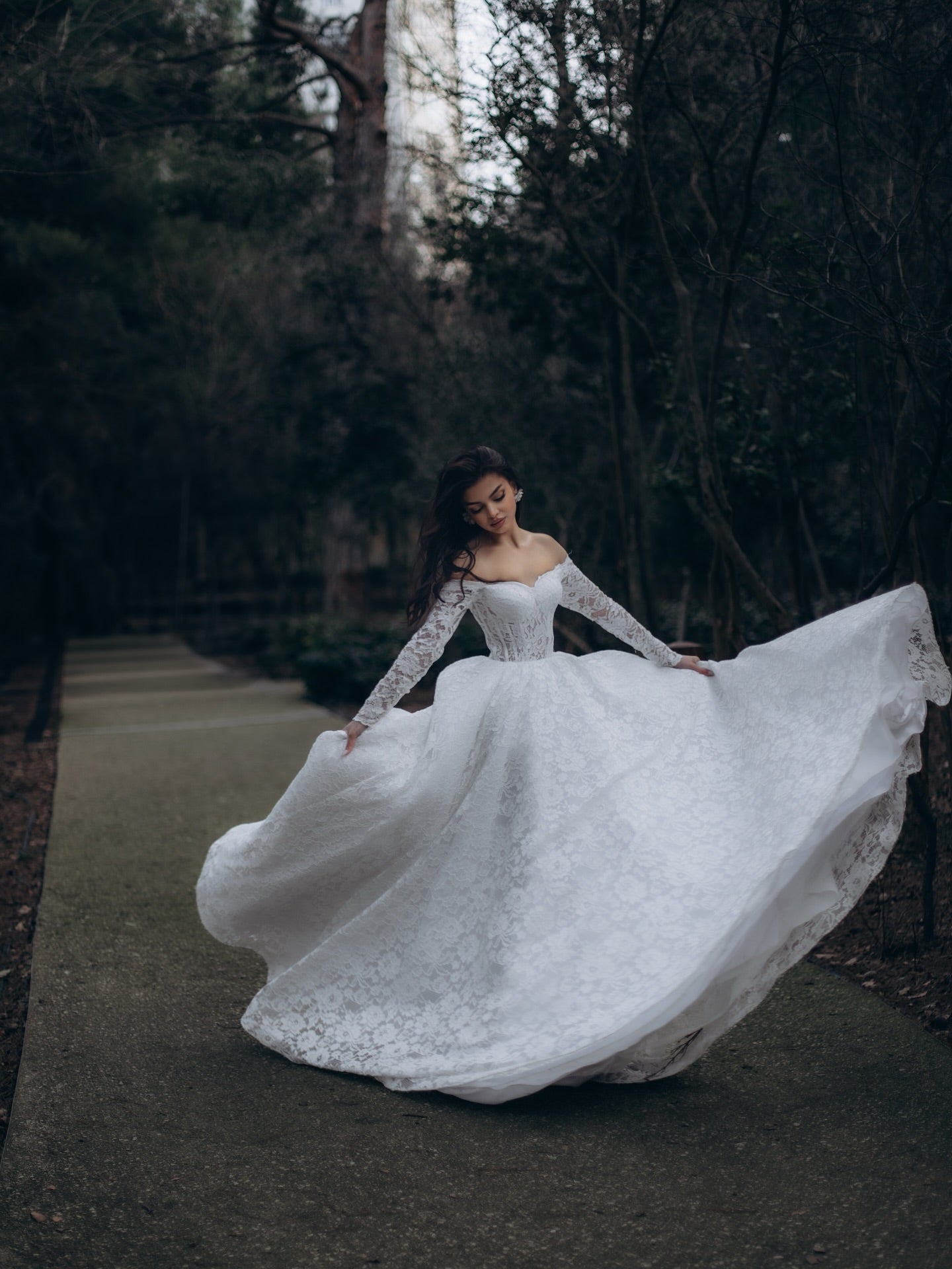 Off-the-Shoulder Lace Ball Gown Wedding Dress