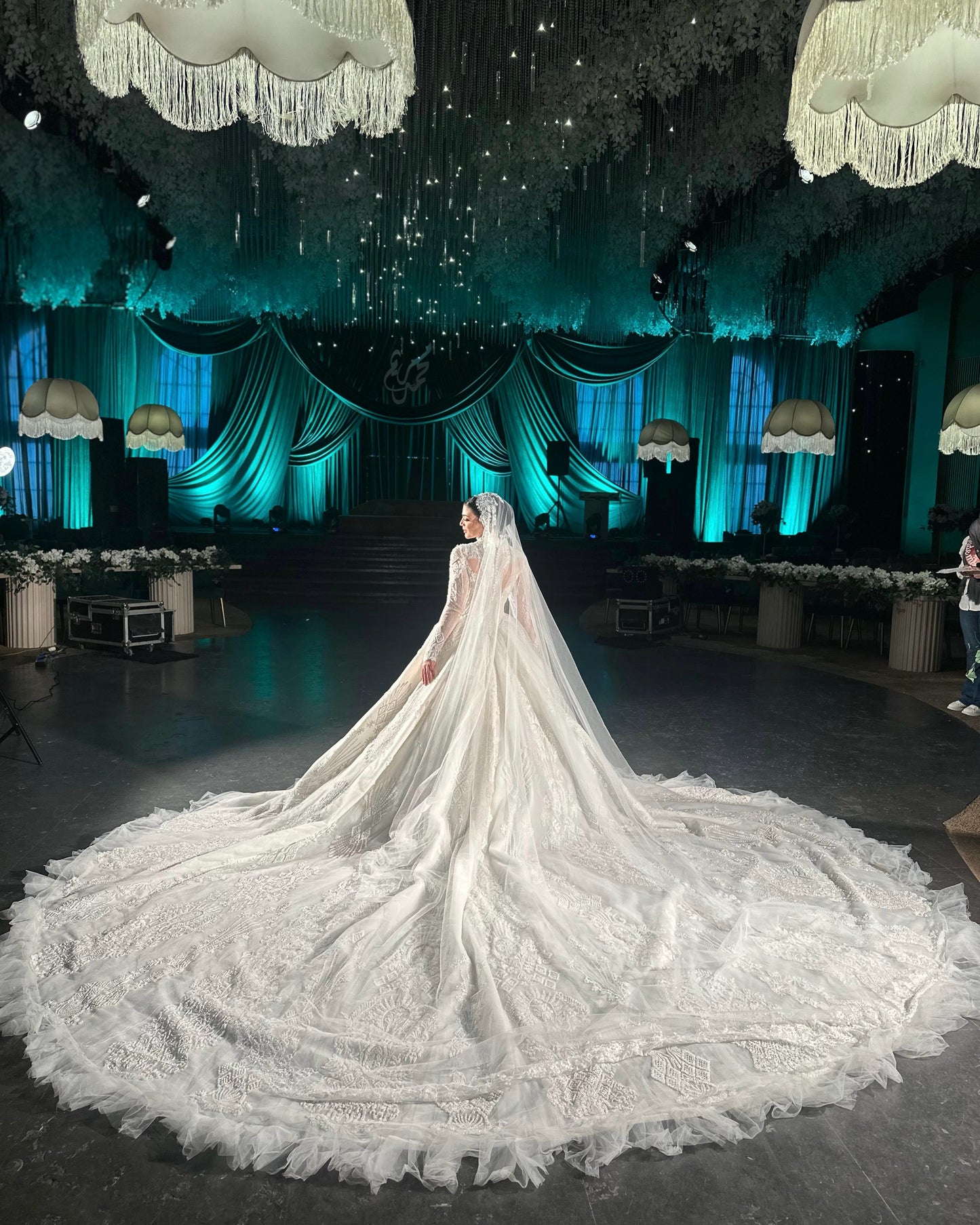 Long Sleeve Illusion Ball Gown Wedding Dress