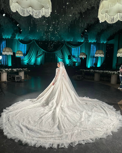 Long Sleeve Illusion Ball Gown Wedding Dress