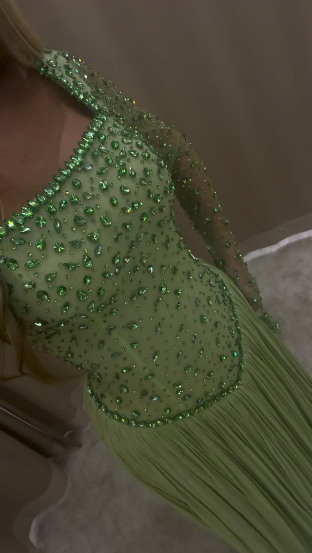 Beaded Basqued Bodice Pleated Evening Gown