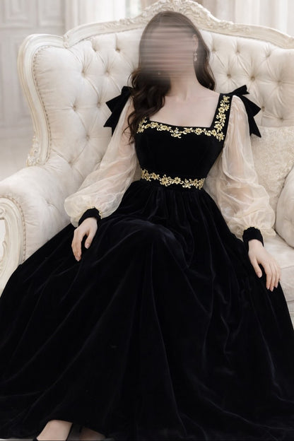 Embroidered Velvet Gown with Sheer Sleeves