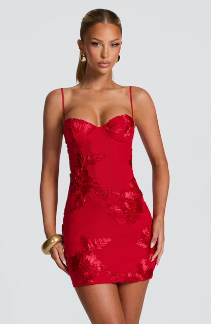 Floral Embroidered Lace-Up Corset Mini Dress