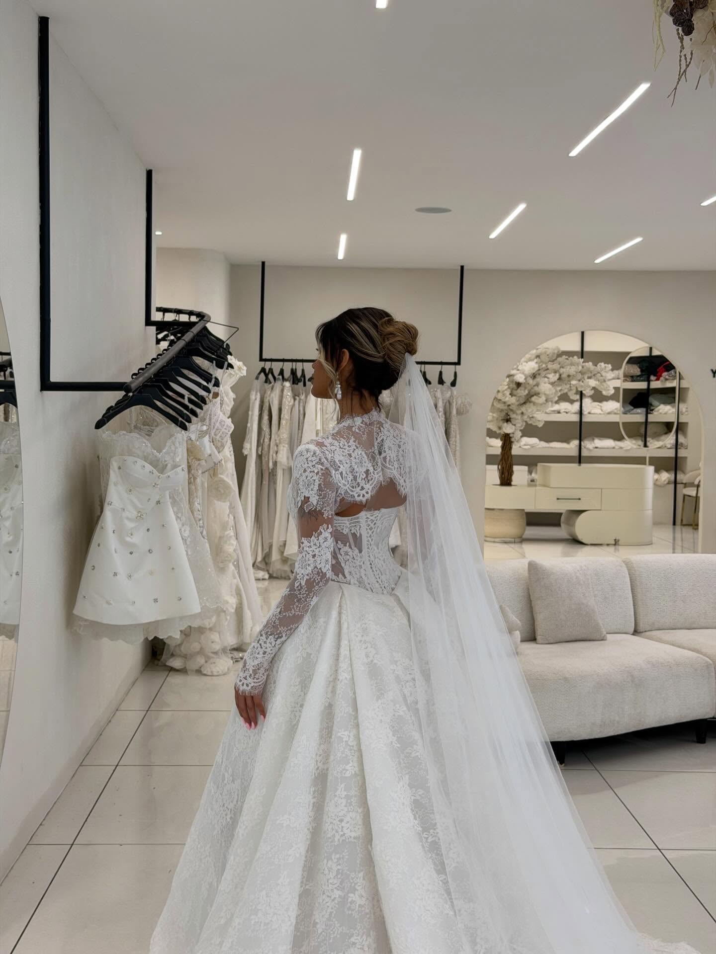 Lace Ball Gown Wedding Dress with Long Sleeves