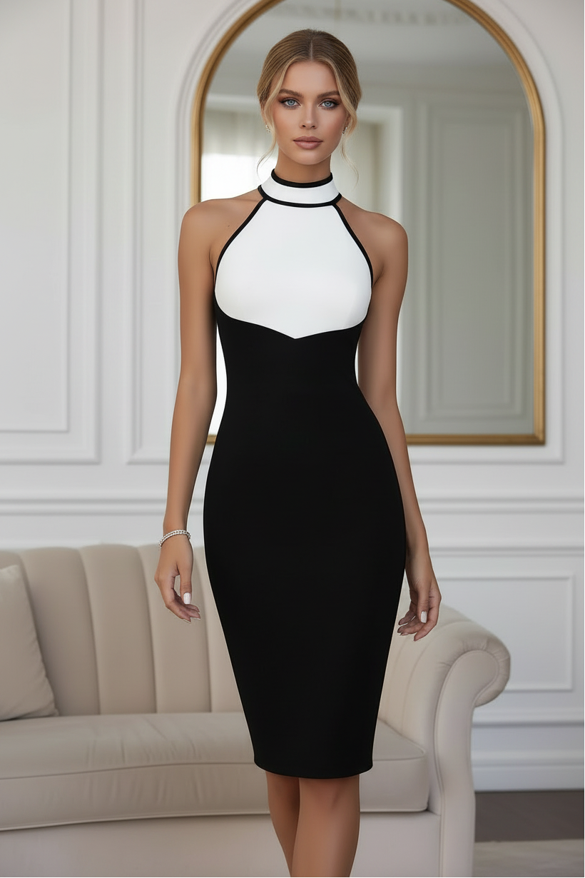 High Neck Colorblock Midi Bodycon Dress