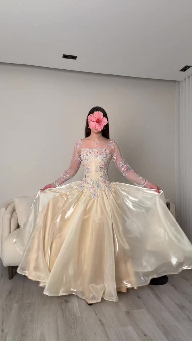 Embroidered Corset Ball Gown with Long Sleeves