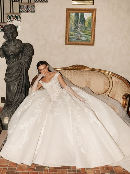 Off-the-Shoulder Lace Applique Ball Gown Wedding Dress