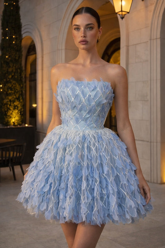 Strapless Corset Feather Embellished Mini Dress