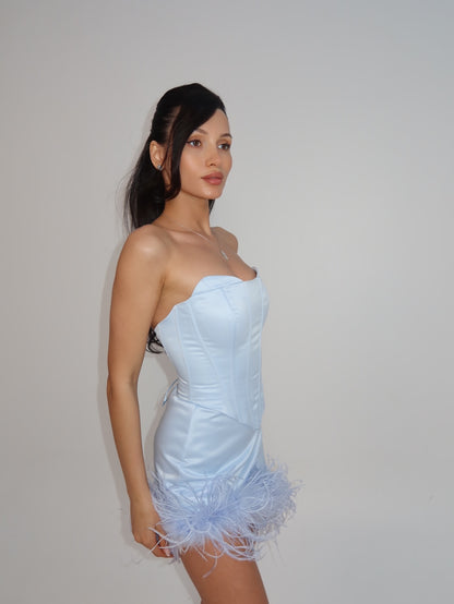 Strapless Corset Mini Dress with Feather Hem
