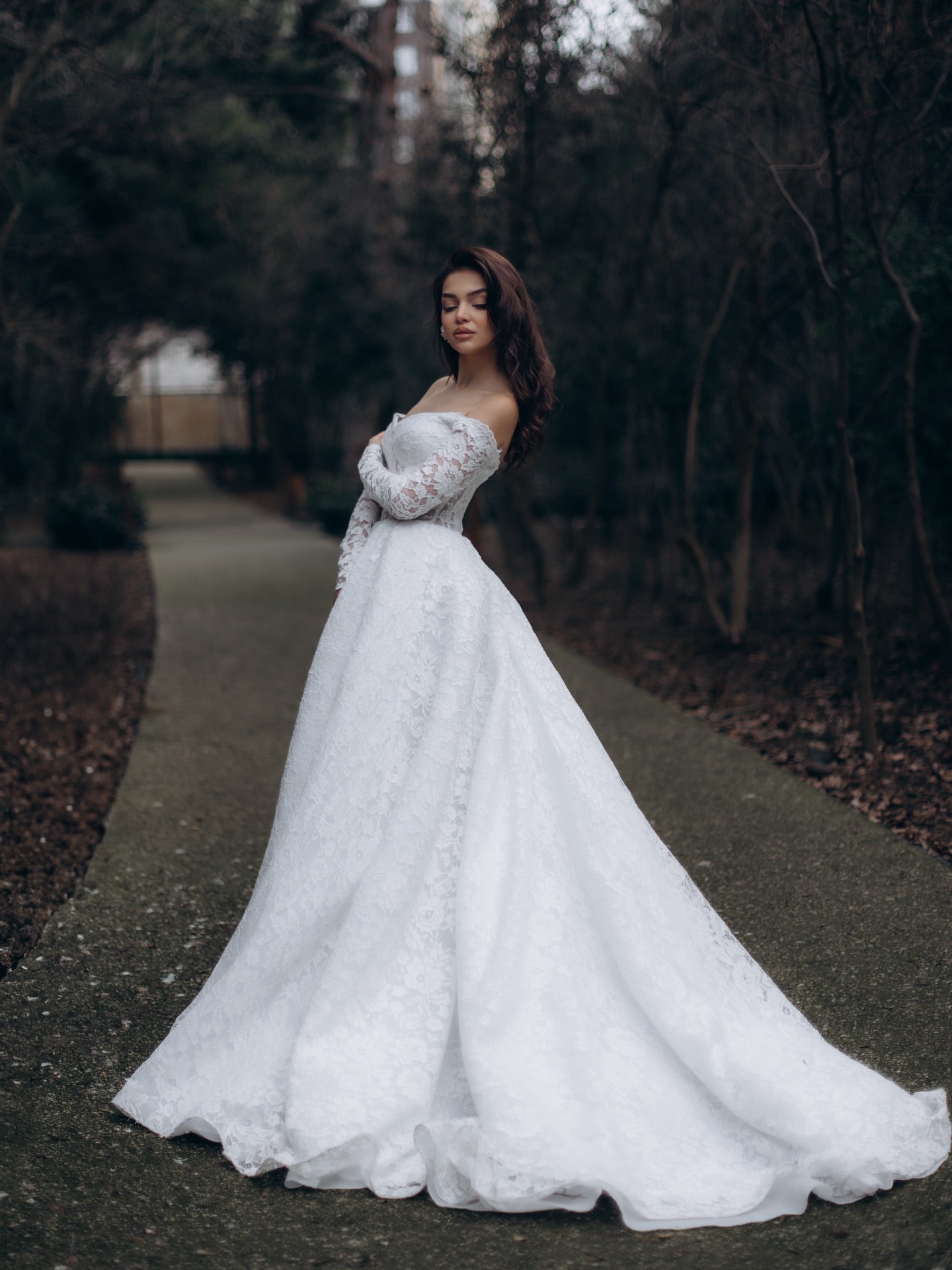 Off-the-Shoulder Lace Ball Gown Wedding Dress