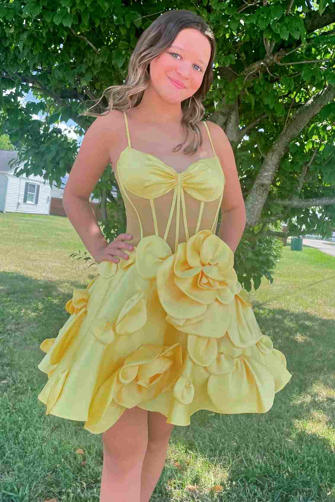 Sheer Corset 3D Floral A-Line Mini Dress