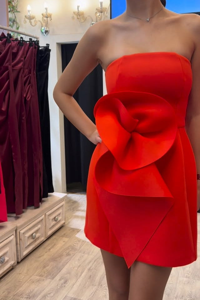 Strapless Mini Dress with 3D Rose Applique