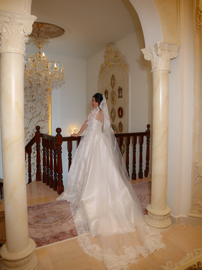 Corset Ball Gown Wedding Dress with Lace Veil