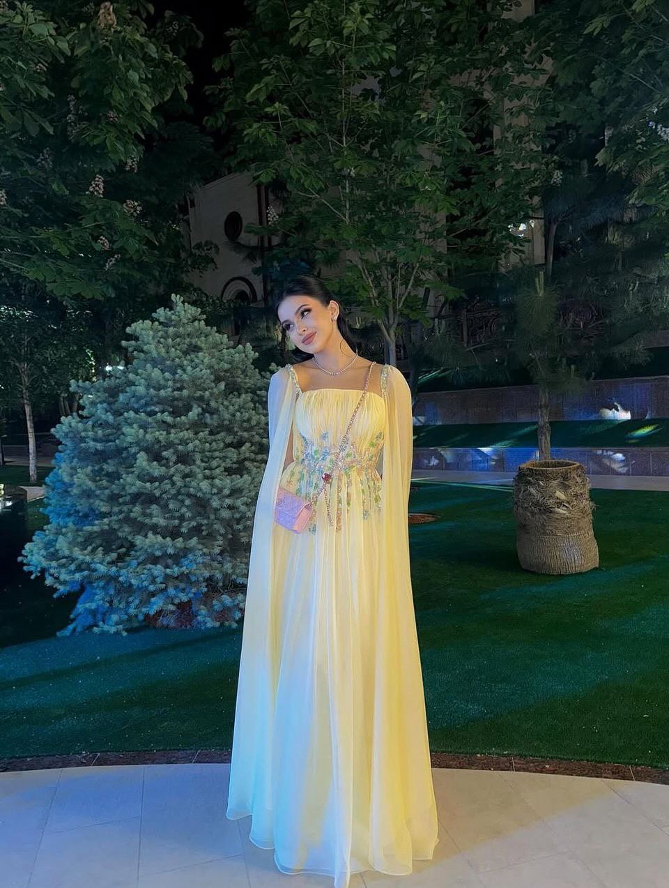 Embroidered Cape Sleeve Chiffon Evening Gown