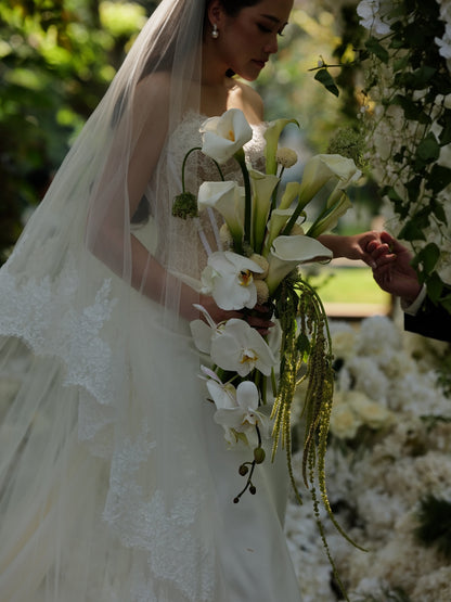 Strapless Lace Applique Wedding Gown with Cathedral Veil