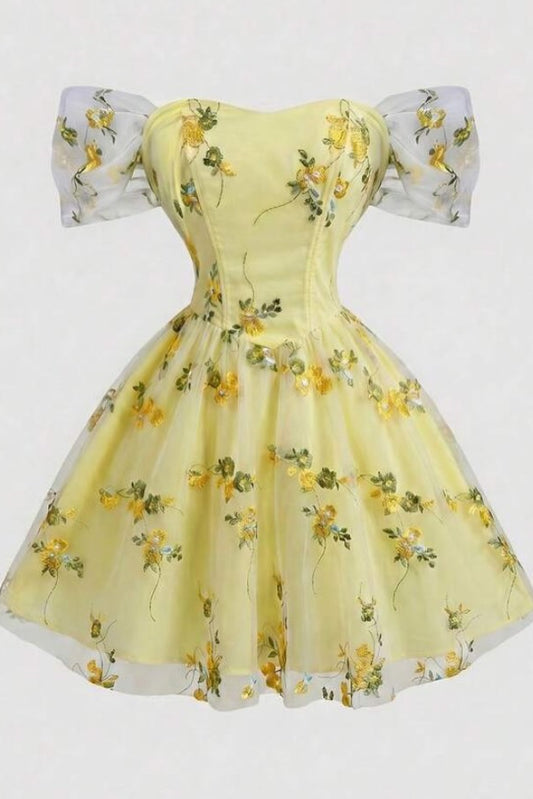 Floral Embroidered Corset A-Line Mini Dress