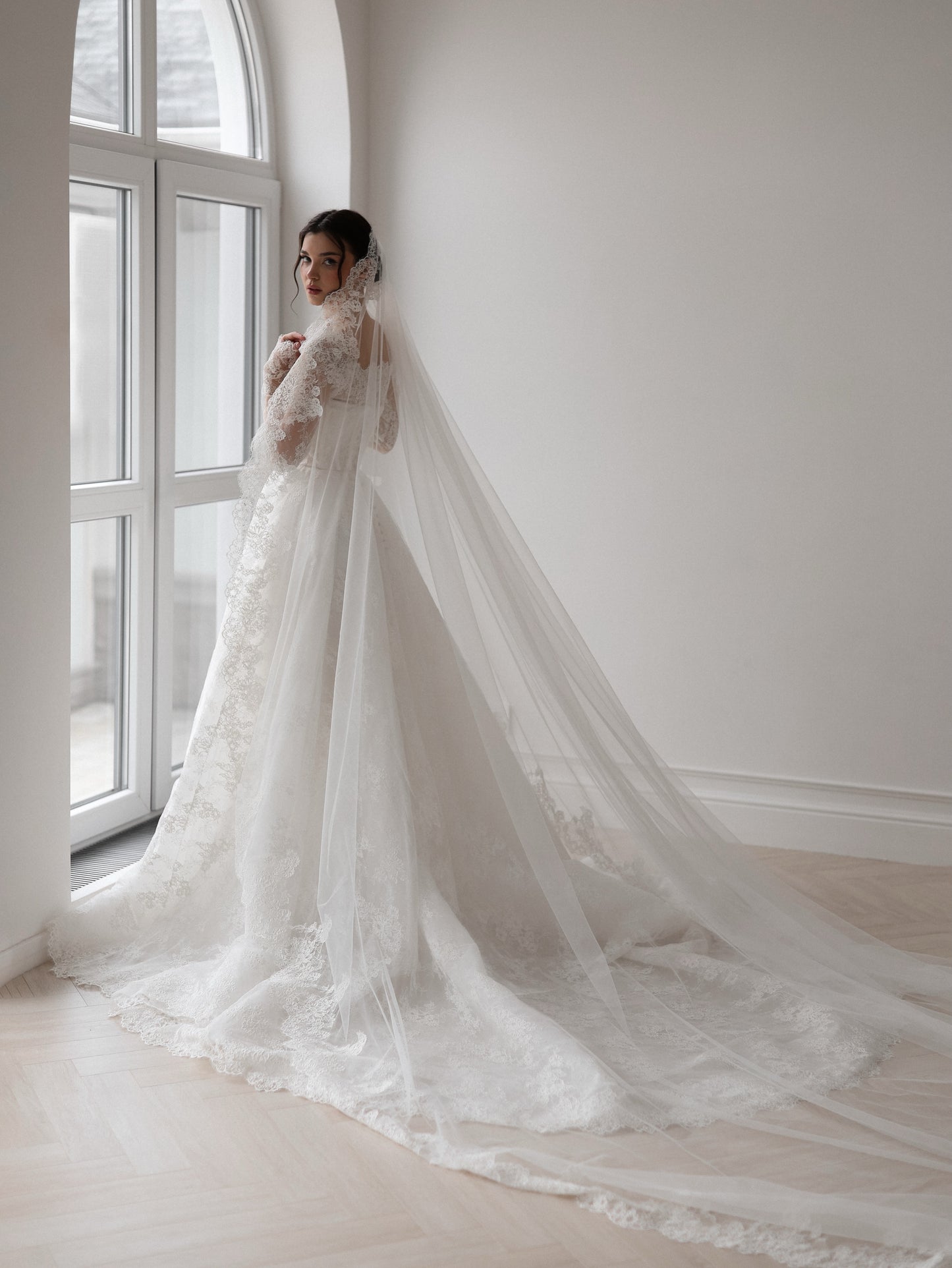 Long Sleeve Lace Ball Gown Wedding Dress