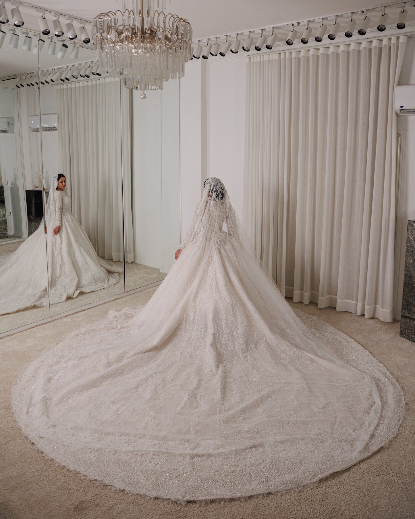 Cathedral Train Long Sleeve Lace Ball Gown Wedding Dress