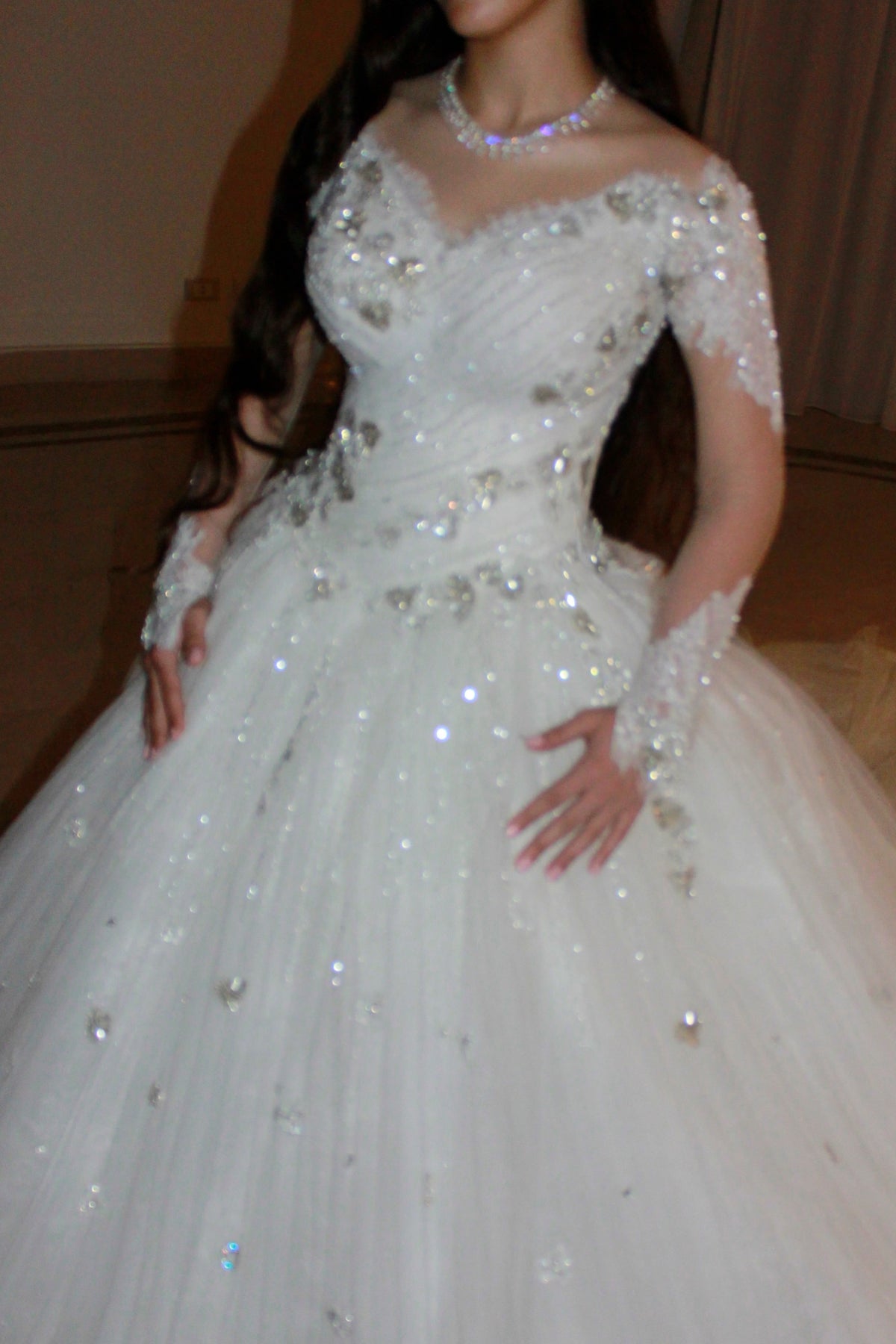 Beaded Long Sleeve Tulle Ball Gown Wedding Dress